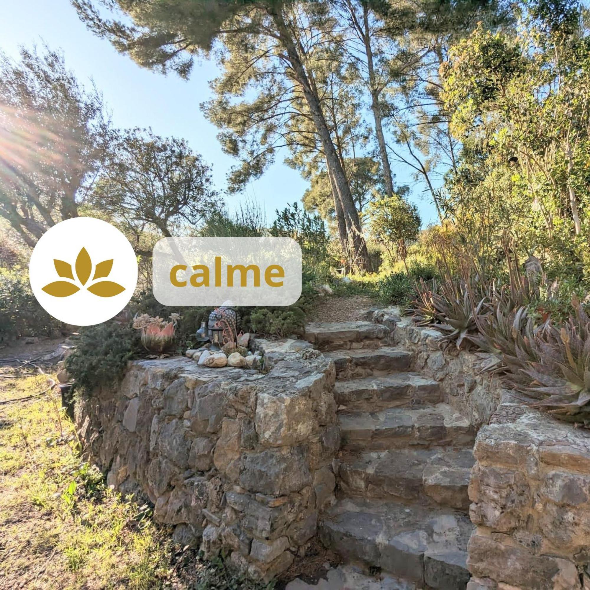 Chambre Deluxe Olivier Et Pinedo La Valette-du-Var Dış mekan fotoğraf